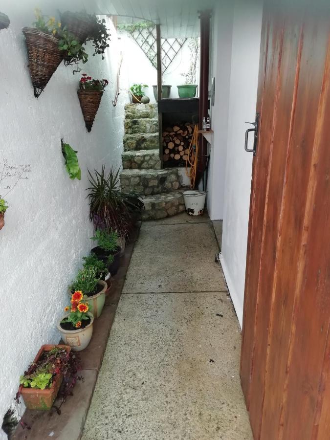 Clearview Cottage St Austell Zewnętrze zdjęcie